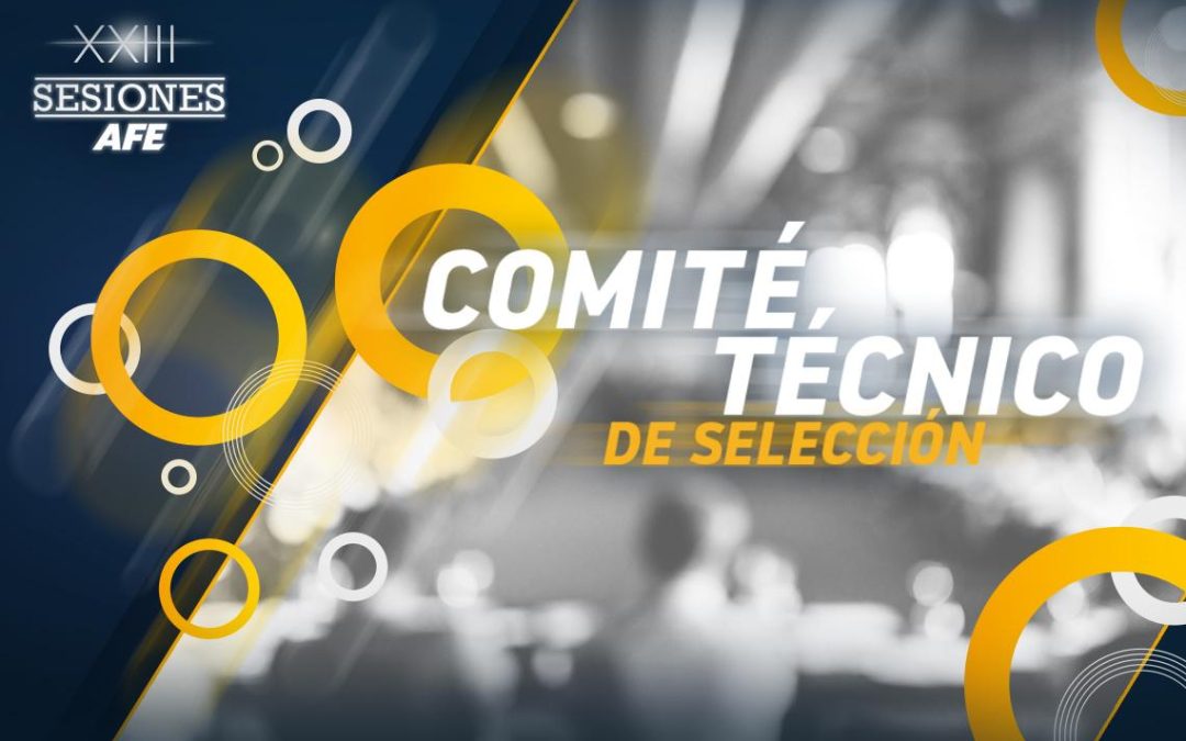 Comité técnico Sesiones AFE