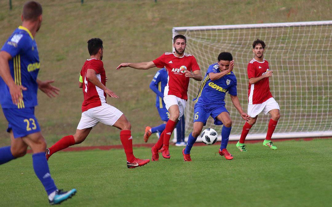 Torneo FIFPro 2018