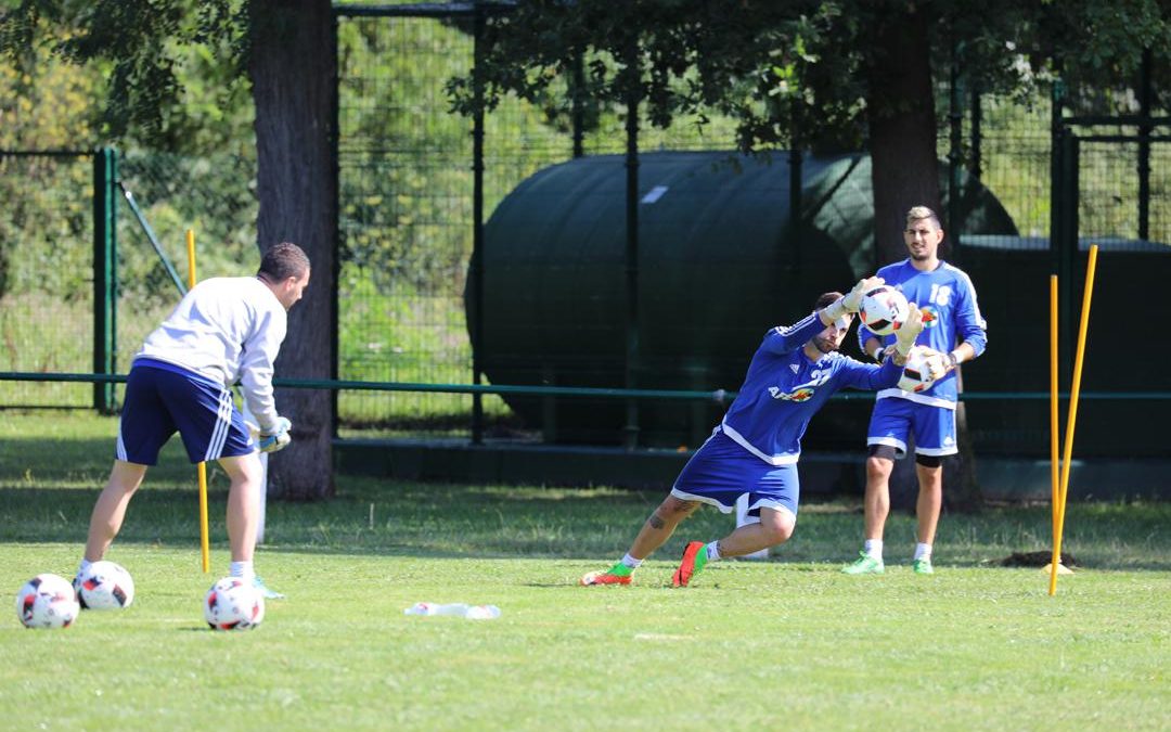 Sesiones AFE XV