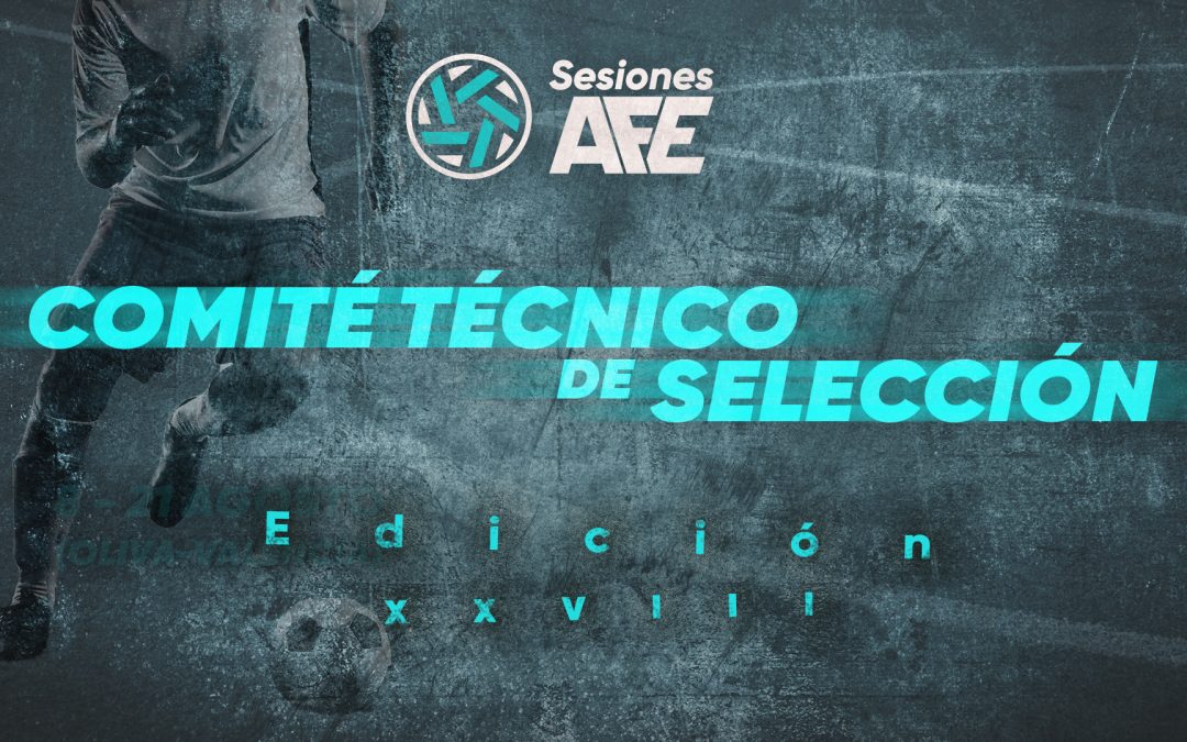 Comité técnico - Sesiones AFE XXVIII