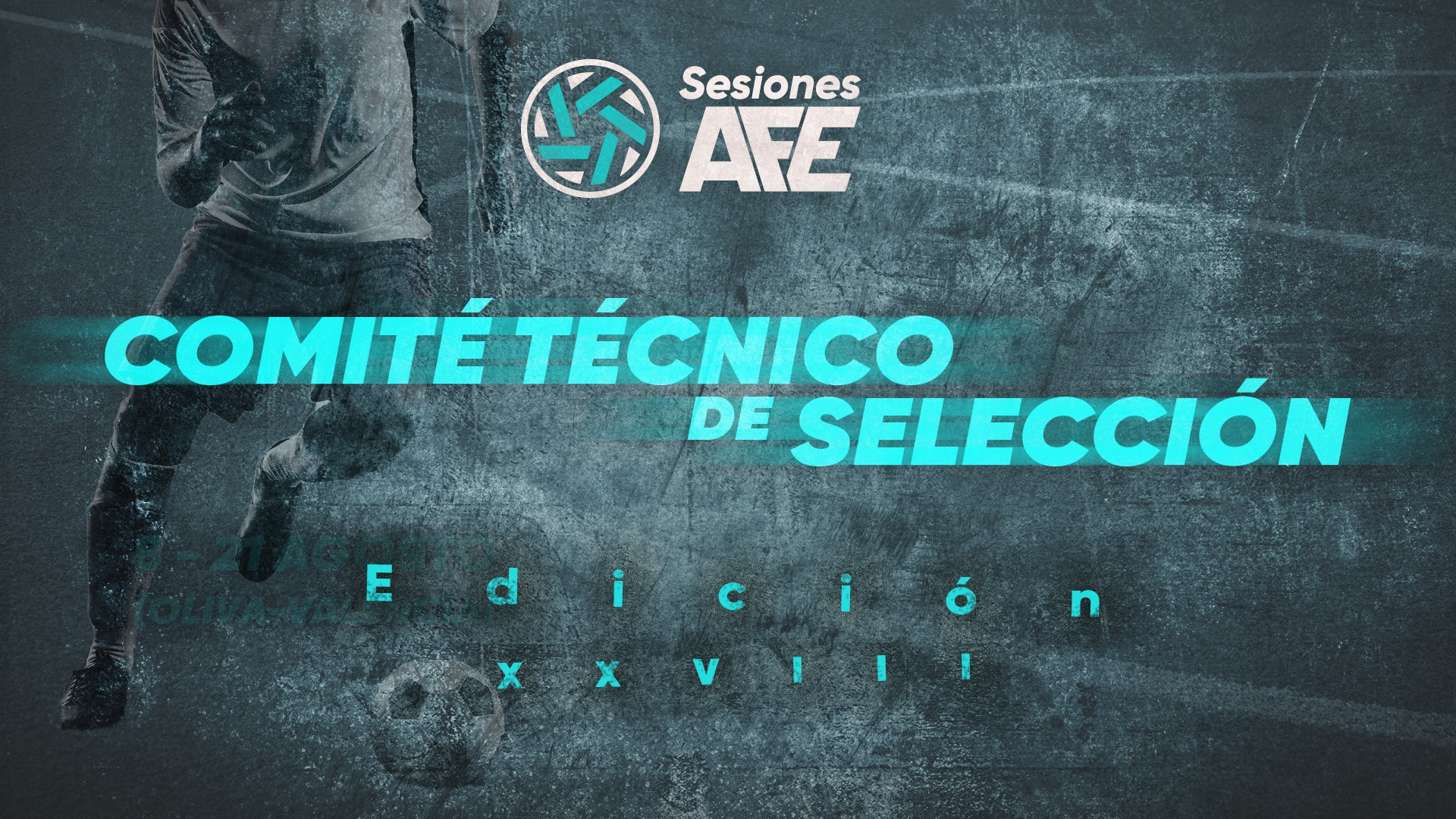 Comité técnico - Sesiones AFE XXVIII