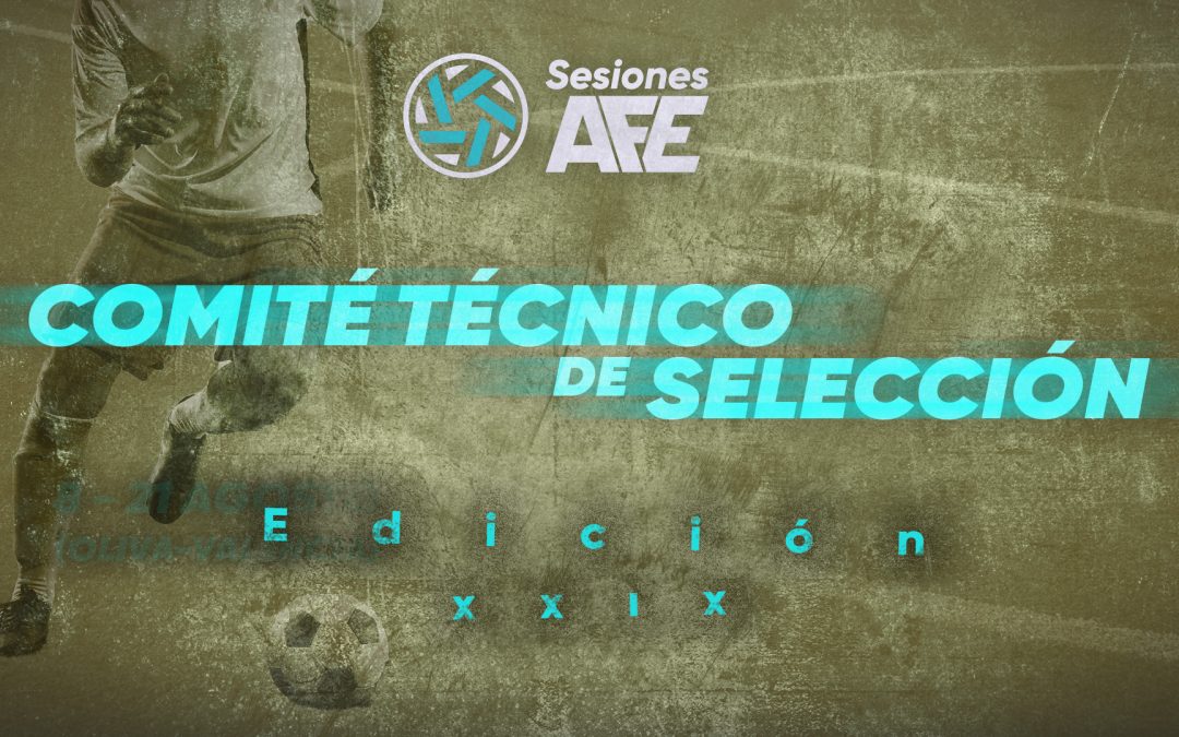 Comité Técnico Sesiones AFE XXIX