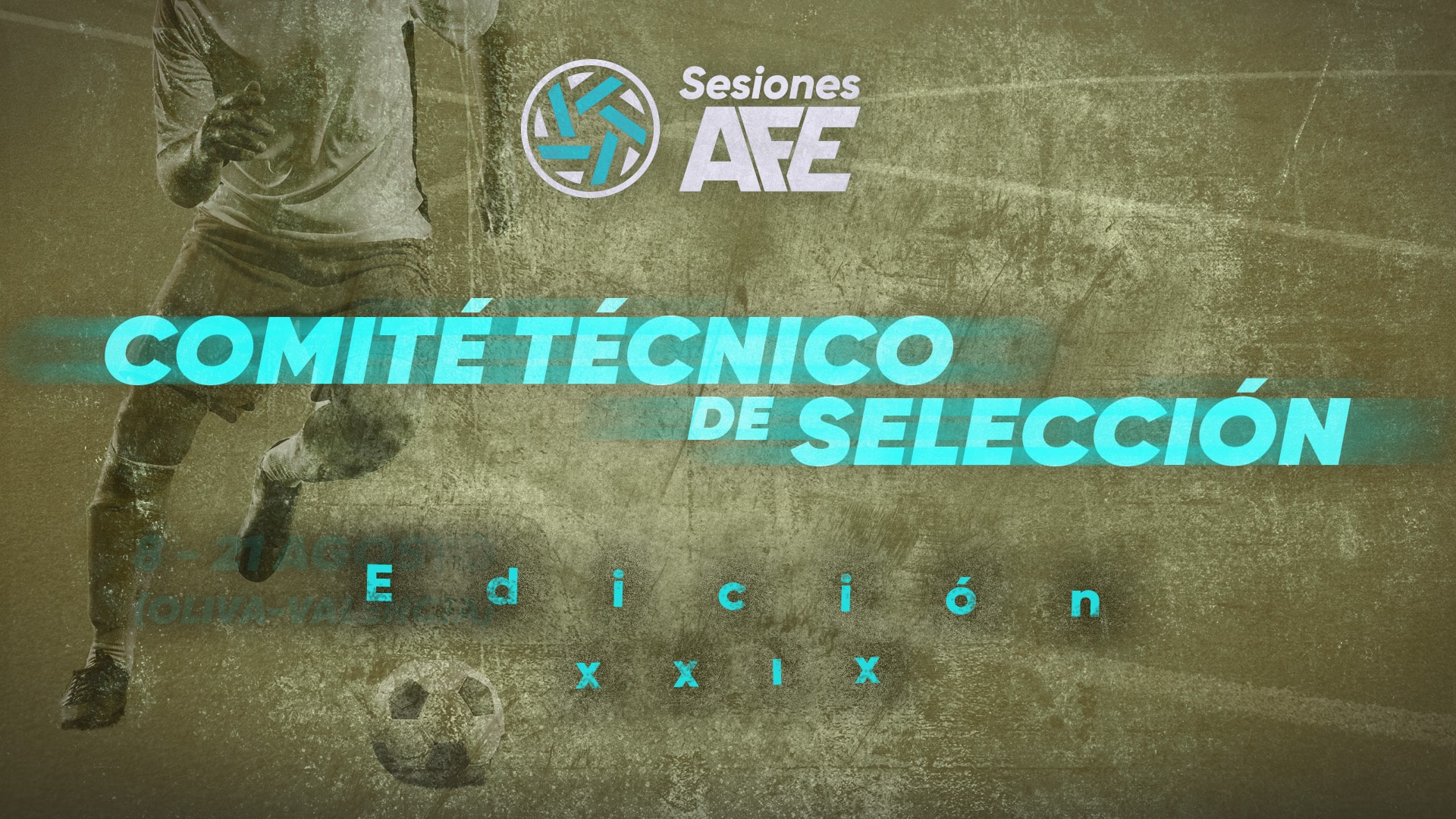 Comité Técnico Sesiones AFE XXIX
