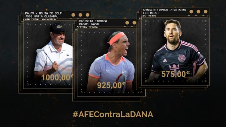 La quinta subasta solidaria #AFEContraLaDANA de la Fundación AFE recauda 6.814€