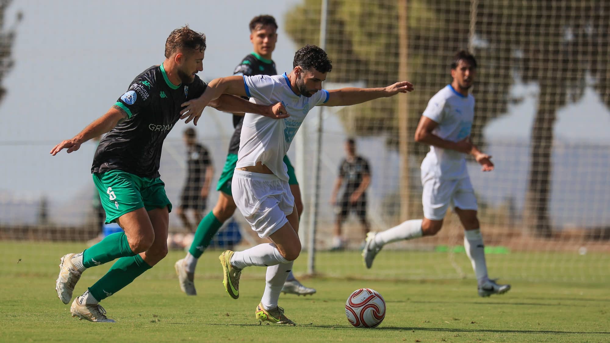 SESIONES AFE 41 ALCOYANO